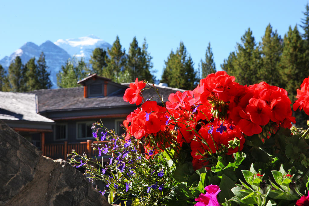 Mountaineer Lodge Lake Louise Luaran gambar